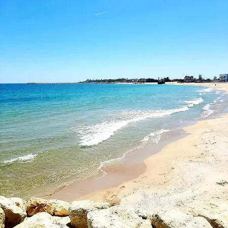 Efo Near The Apartman