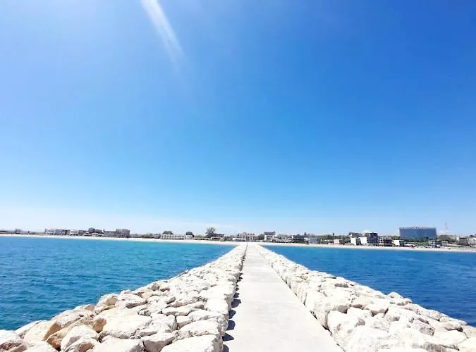 Efo Near The Appartement